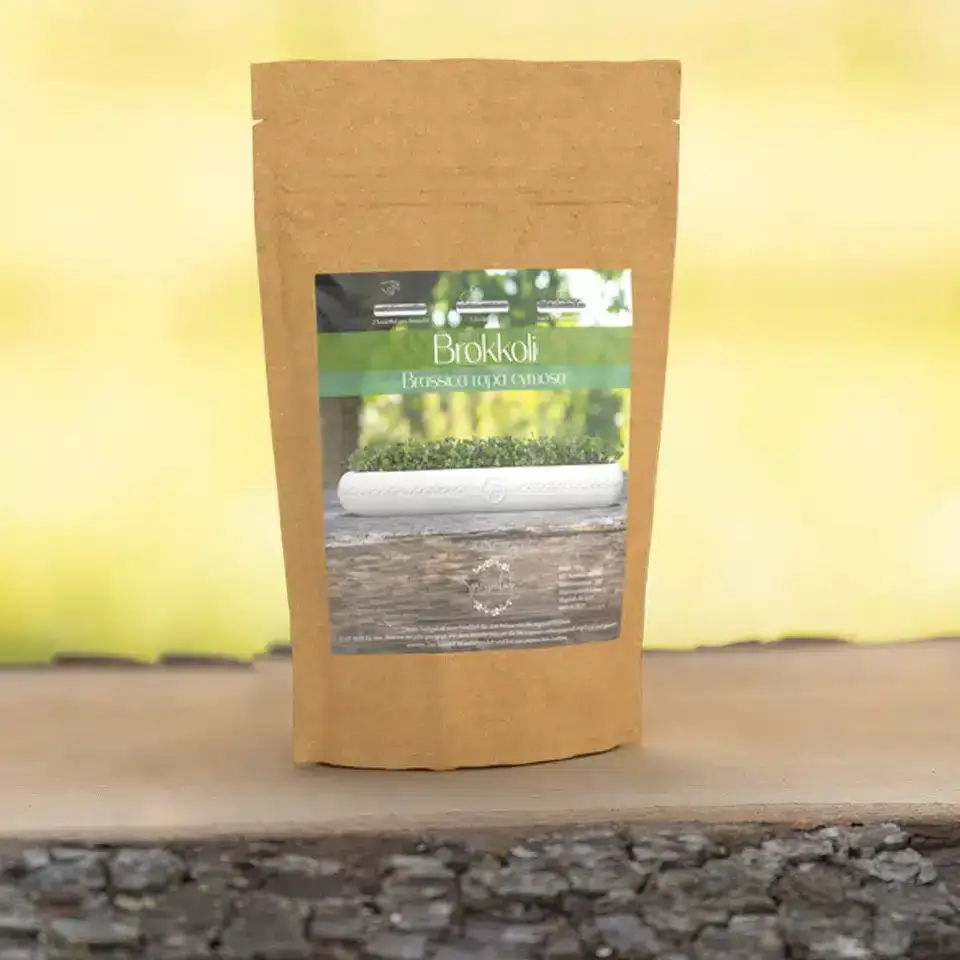 Brokkoli Raab Saatgut für Microgreens