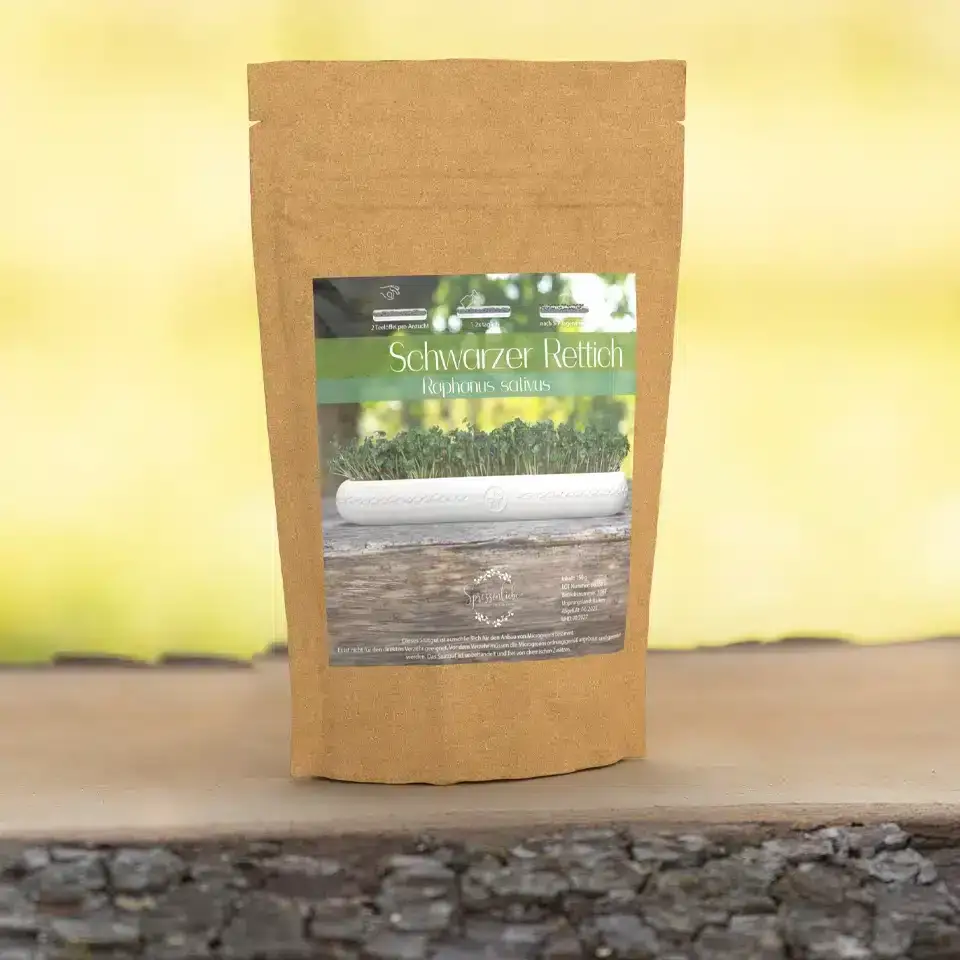 Schwarzer Rettich Saatgut für Microgreens